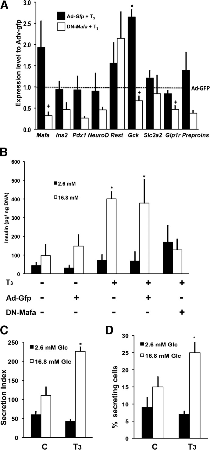 FIG. 6.