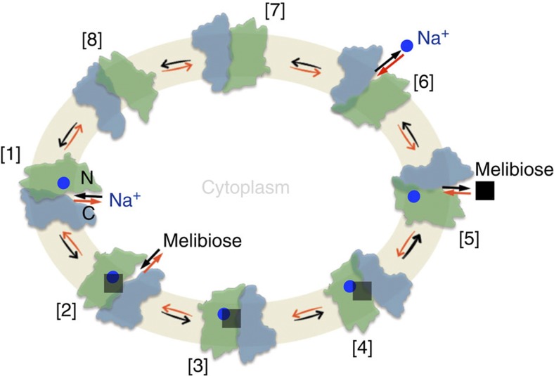 Figure 7