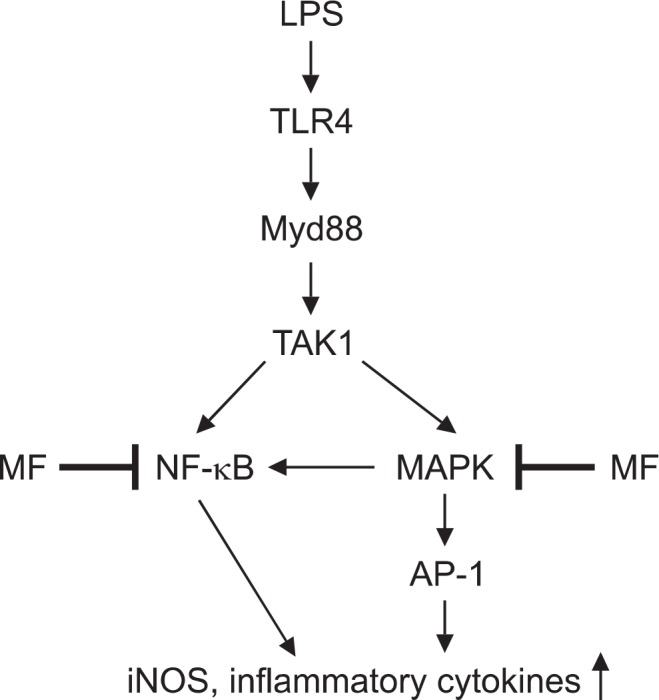 Fig. 5.