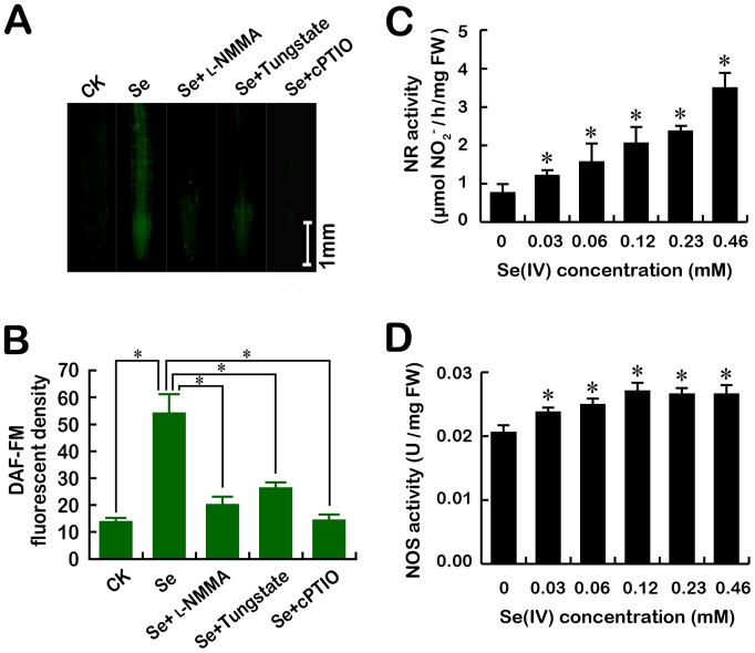 Figure 6