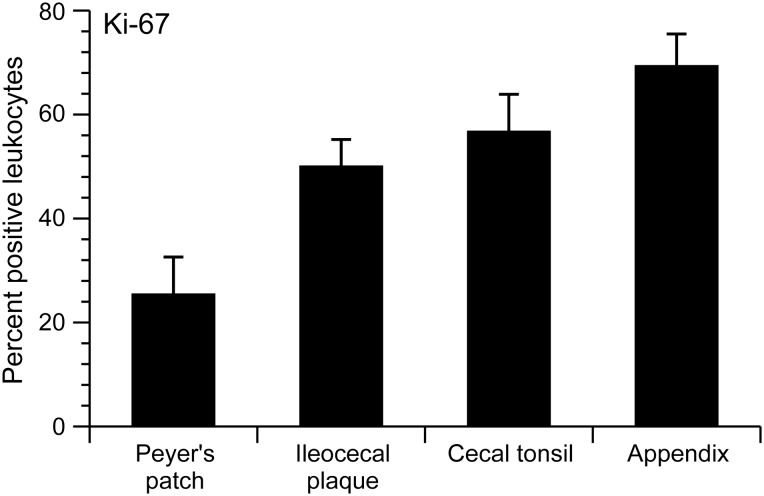 Figure 5