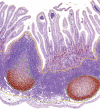 Figure 4