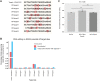 Figure 5. Off-target analysis for ABE8e in PANC-1 cells. A, Alignment of predicted off-target sequences. The on-target sequence is indicated (sgG12D-1) while mismatches to the on-target site are shown in red boxes. B, Analysis of deep-sequencing results. The percentages of reads with an “A” to “G” conversion are shown for indicated target sites for control (red) and sgG12D-1 infected cells. C, Off-target transcriptome-wide A-to-I conversion analysis in cellular RNA. The error bars represent SEM calculated from two biological replicates.