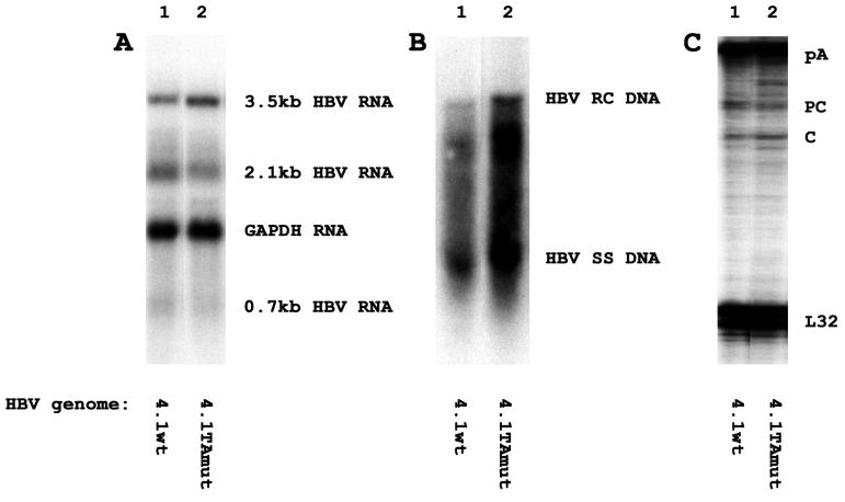 FIG. 5