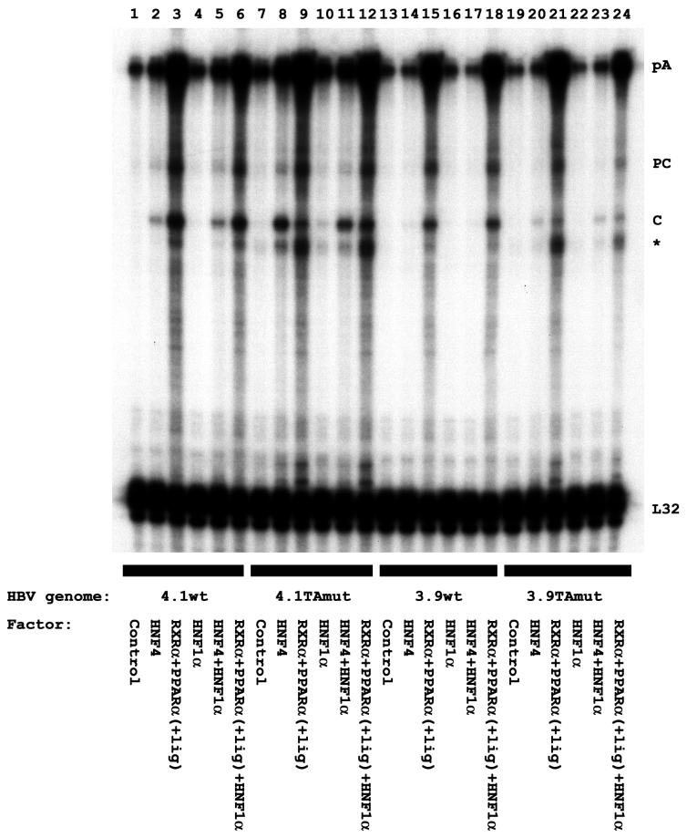 FIG. 7