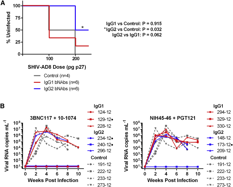 Figure 6