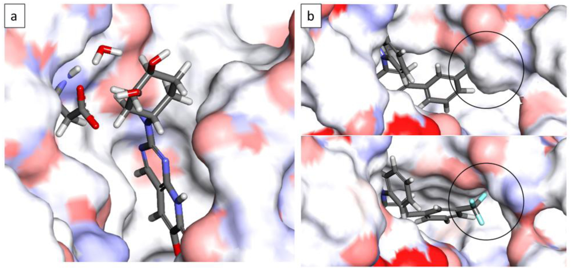 Figure 13.