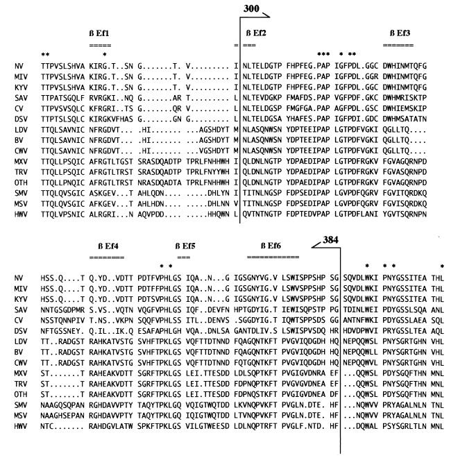 FIG. 8