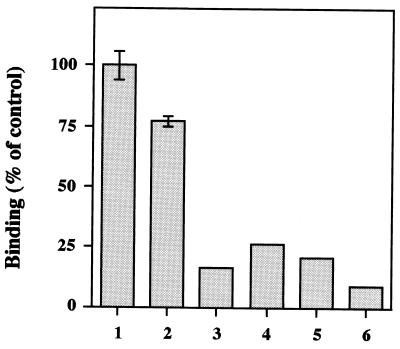 FIG. 6