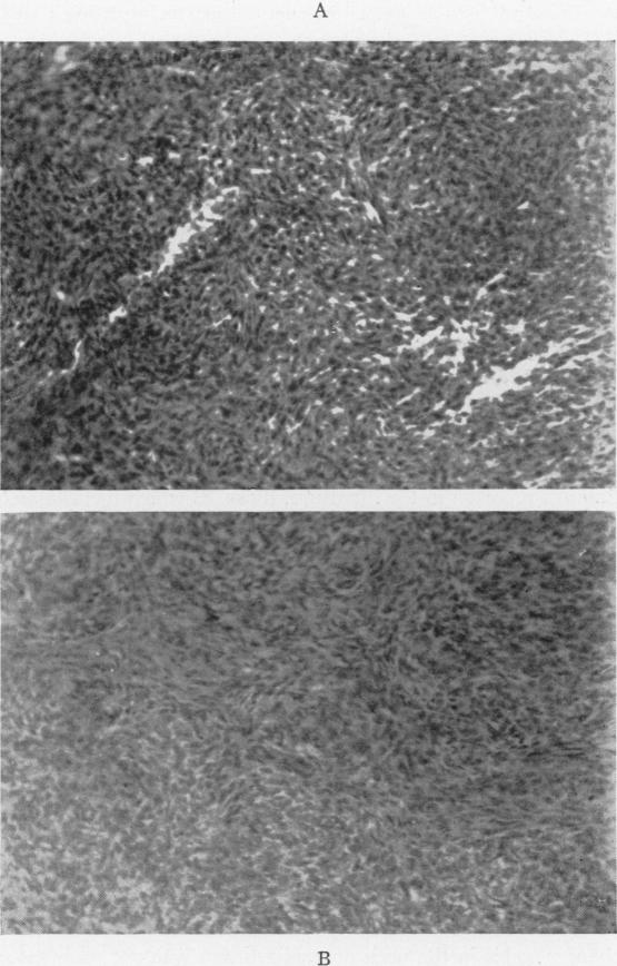 Fig. 3(A), Fig. 3(B)