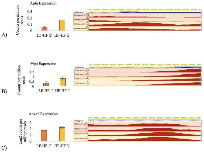 Fig 6