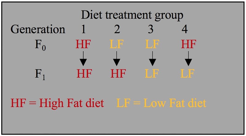 Fig 7