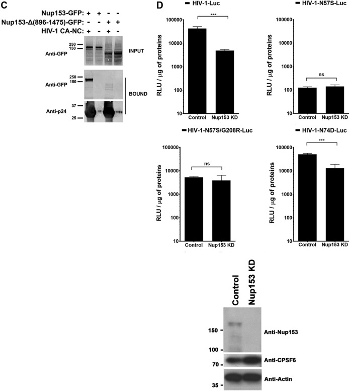 FIG 4