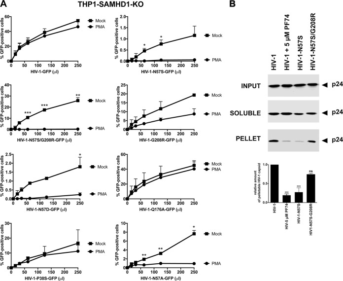 FIG 2