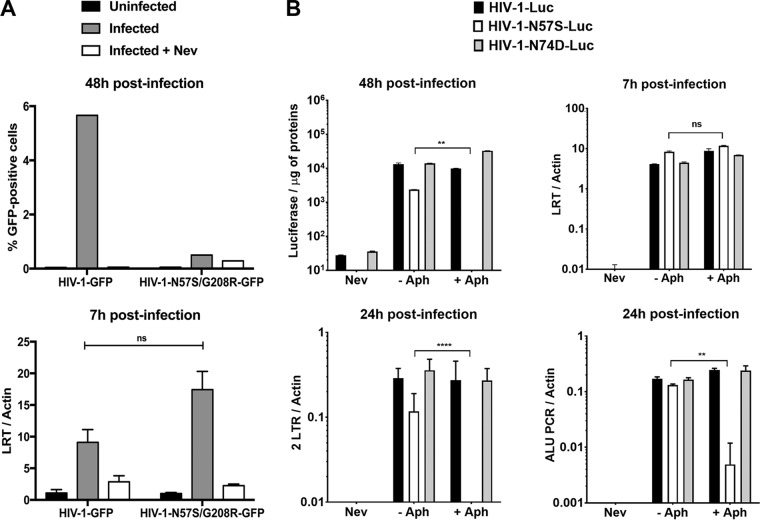 FIG 3