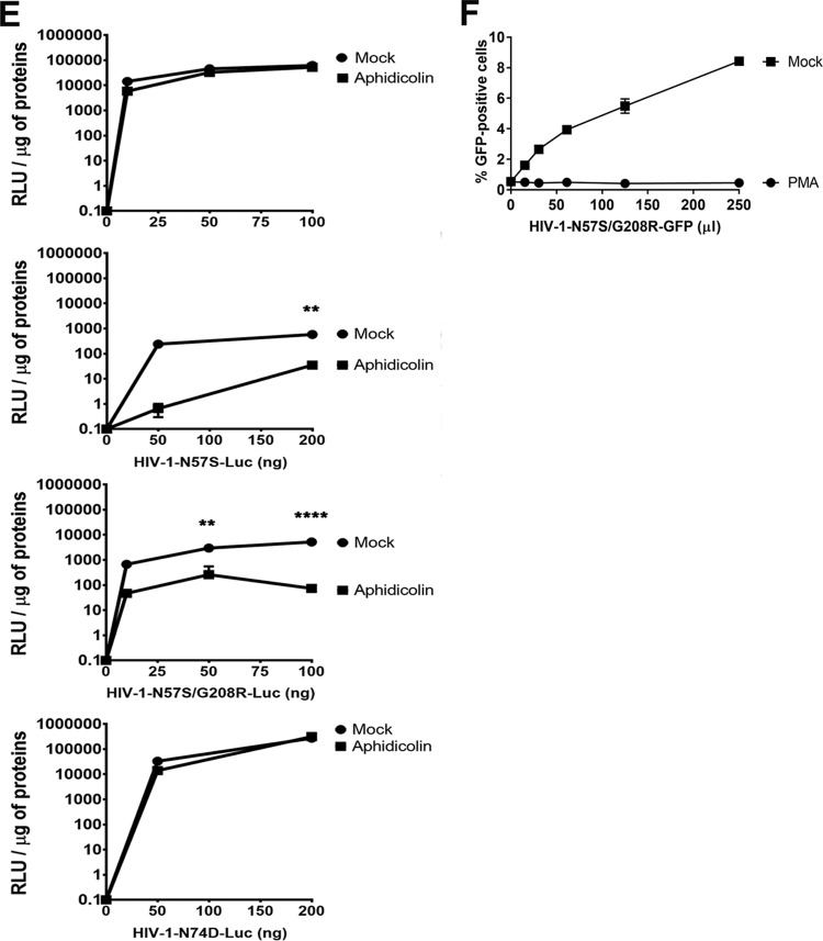 FIG 2