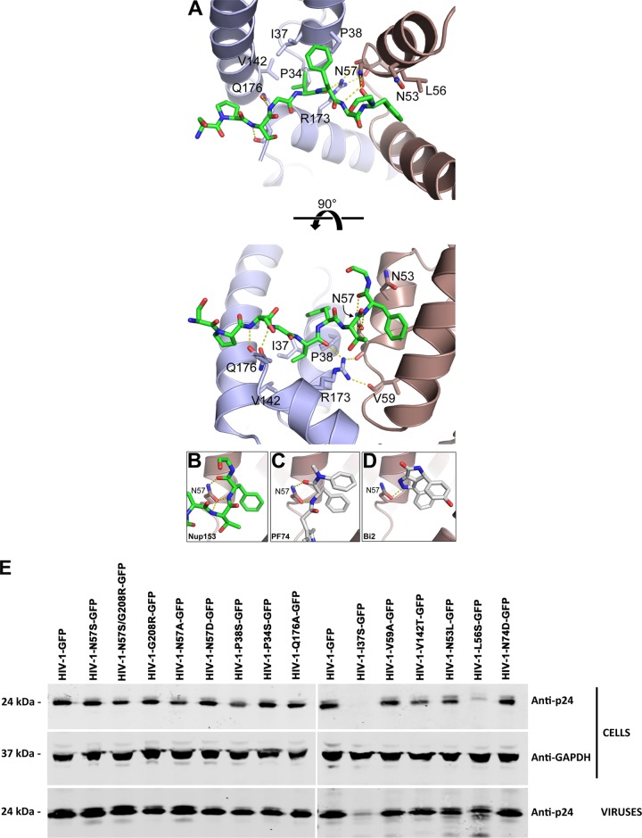 FIG 1