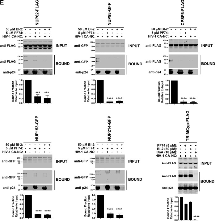 FIG 6