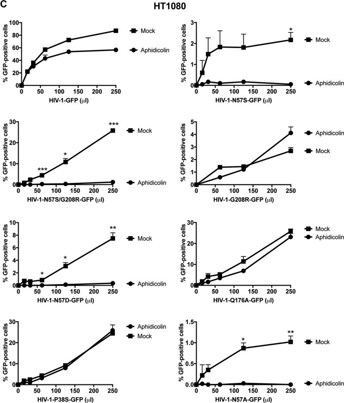 FIG 2