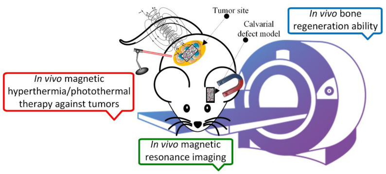 Figure 12