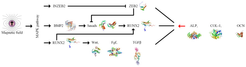 Figure 11