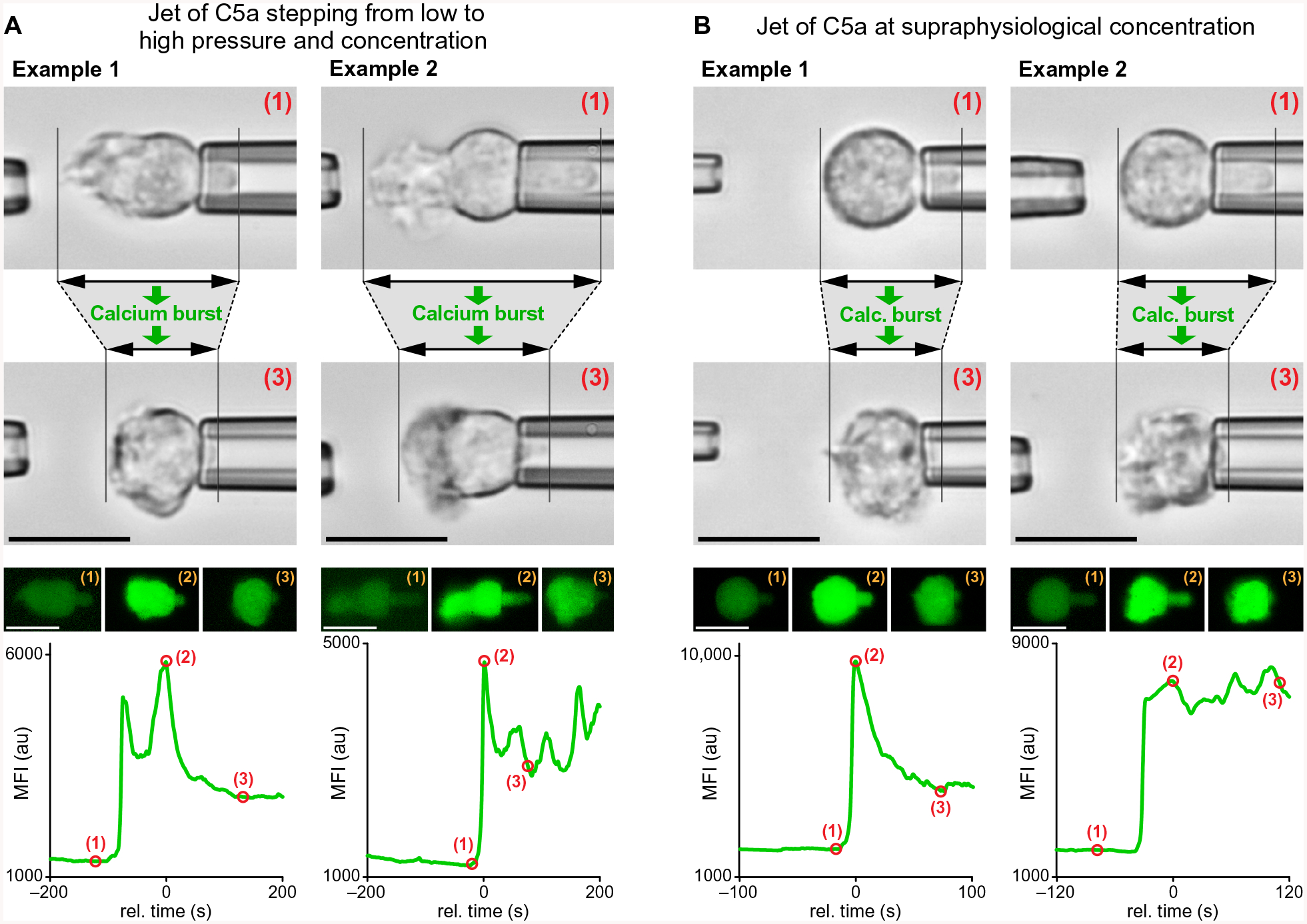 Fig. 4.