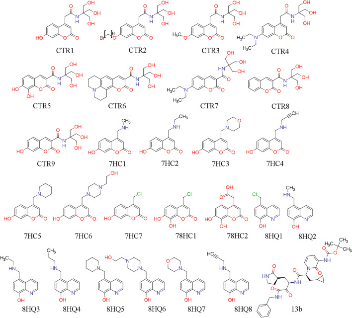 FIGURE 1