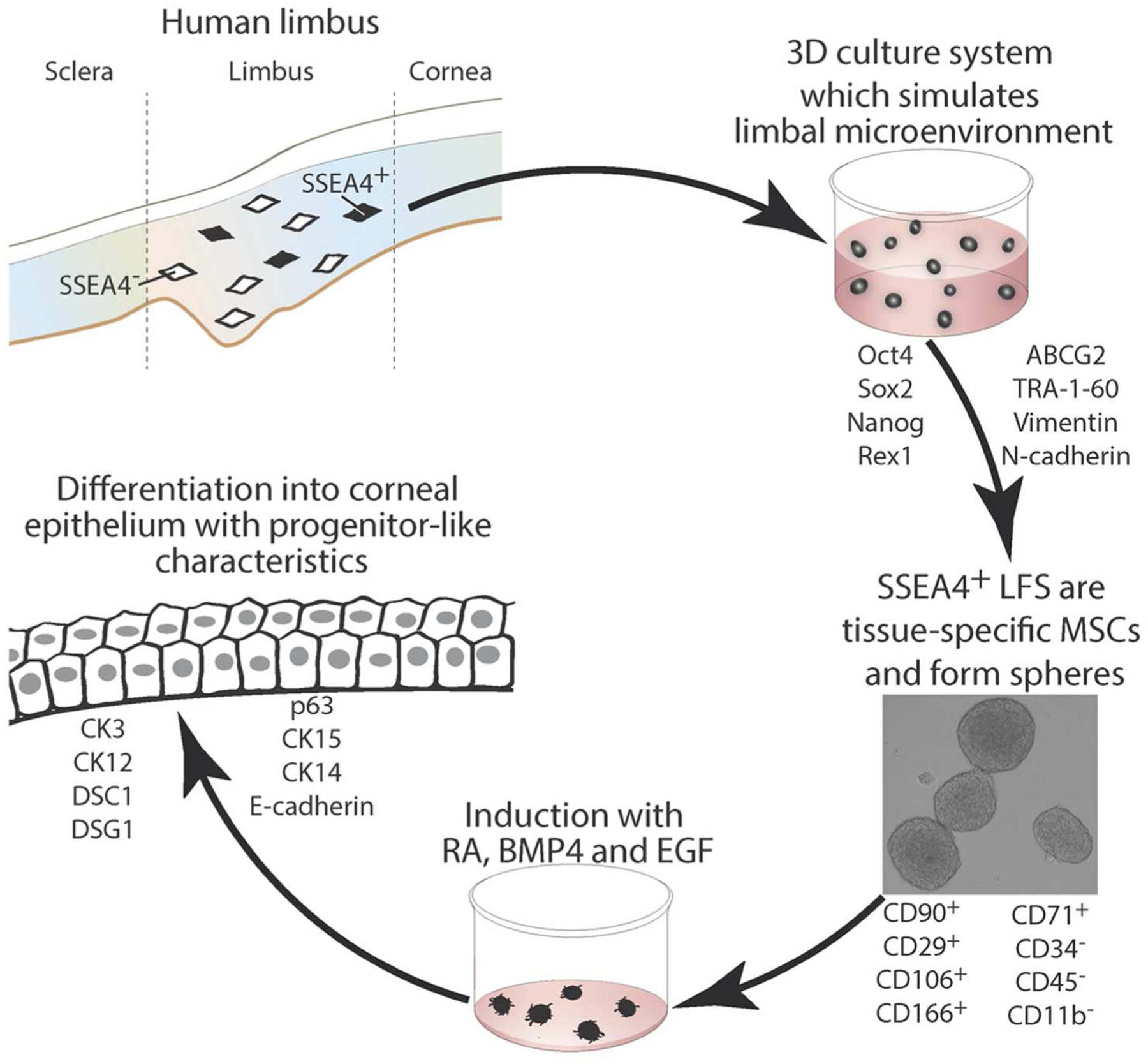 Figure 7: