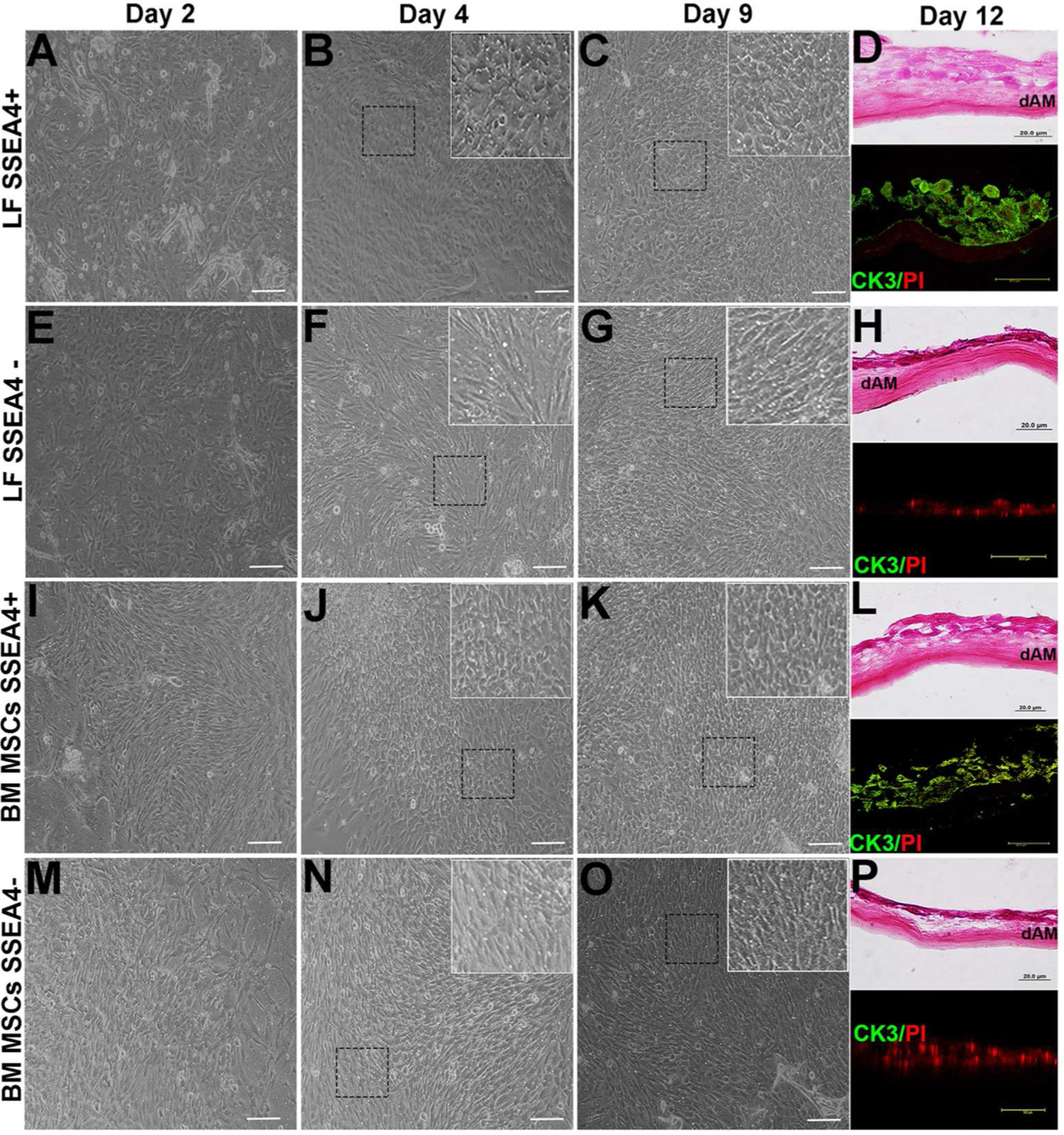 Figure 4: