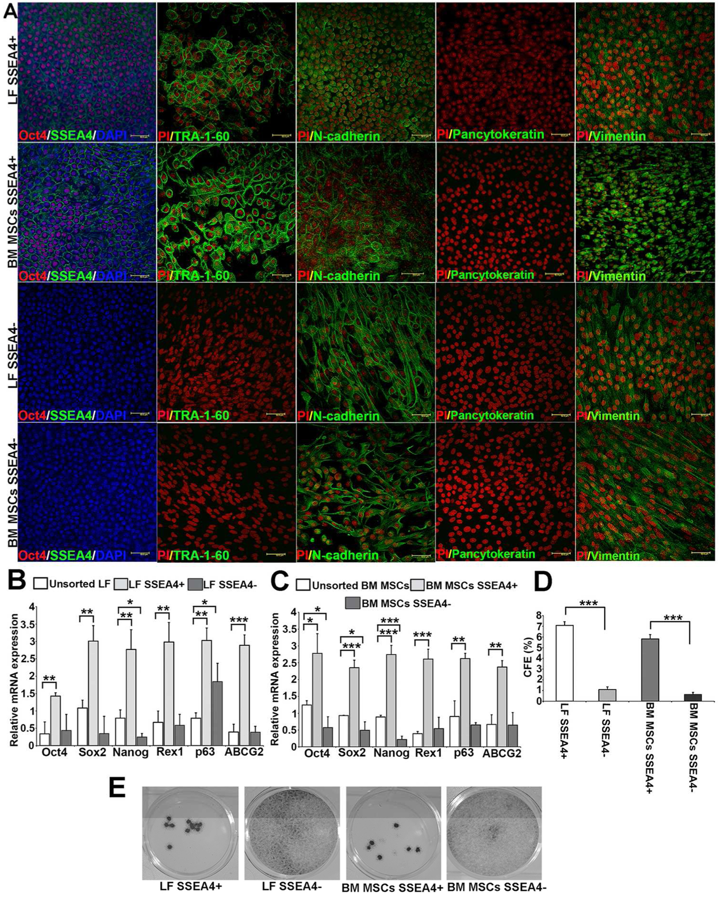 Figure 3: