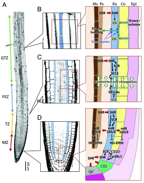 Figure 2.