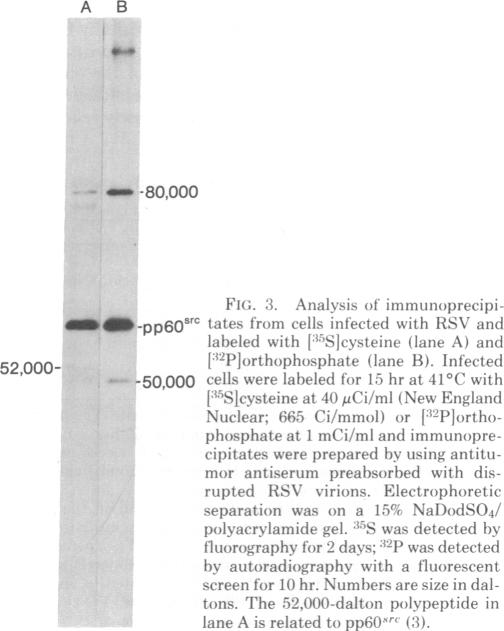 graphic file with name pnas00666-0090-a.jpg