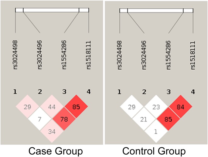 Fig 3