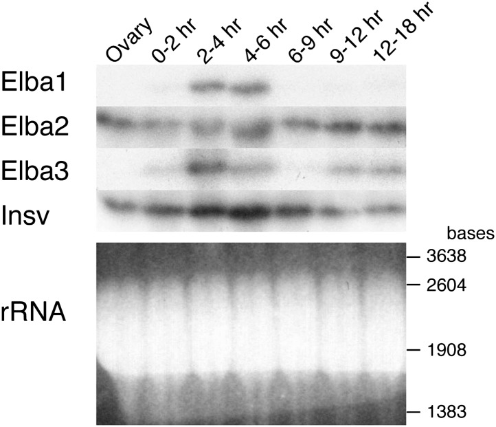 Figure 7.