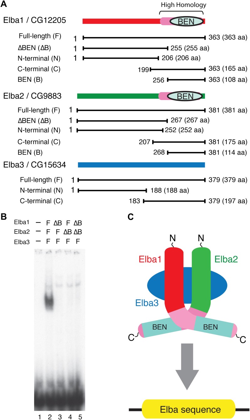 Figure 5.