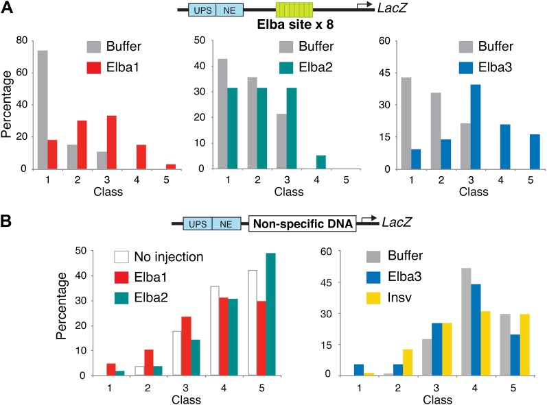 Figure 9—figure supplement 1.