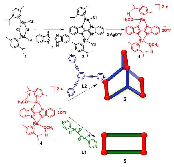 Scheme 1