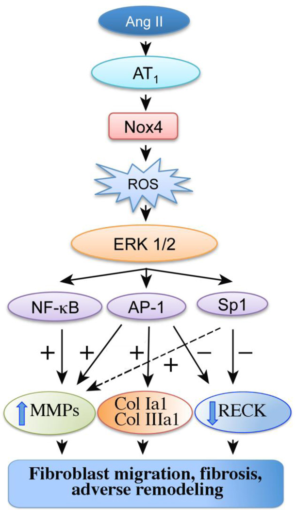 Fig. 8