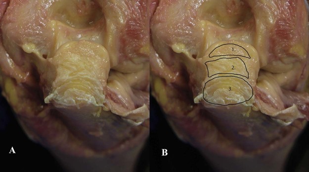 Figure 5