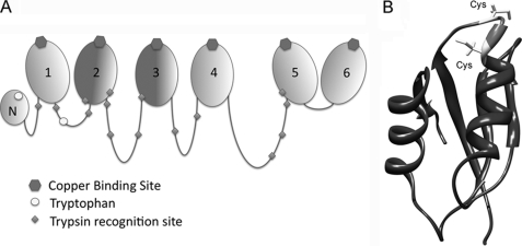 FIGURE 1.