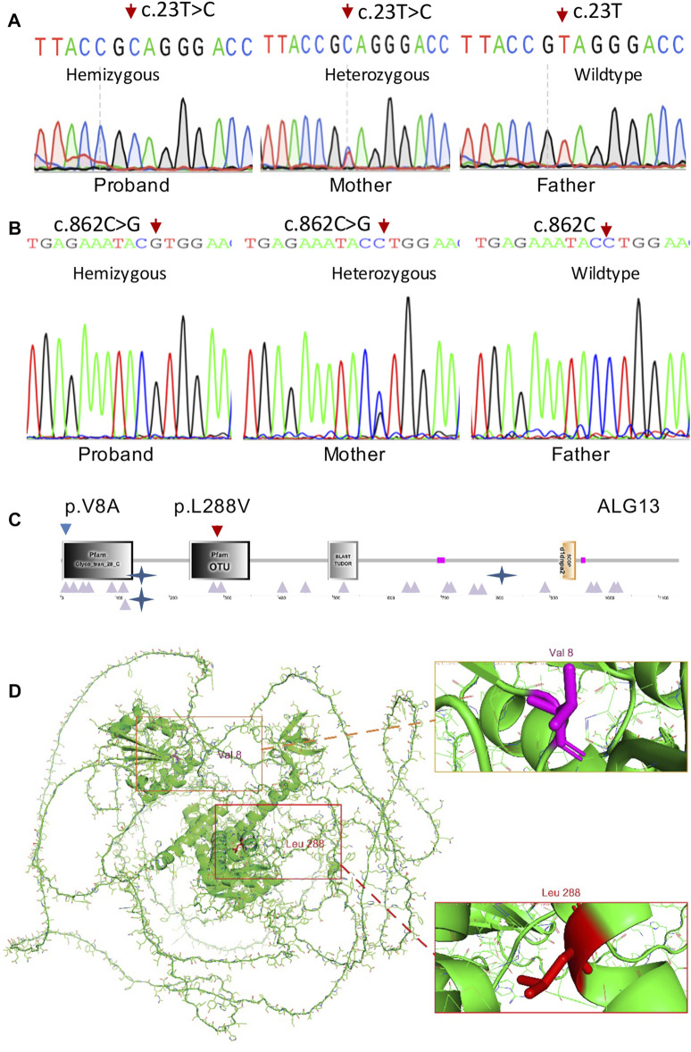 FIGURE 2