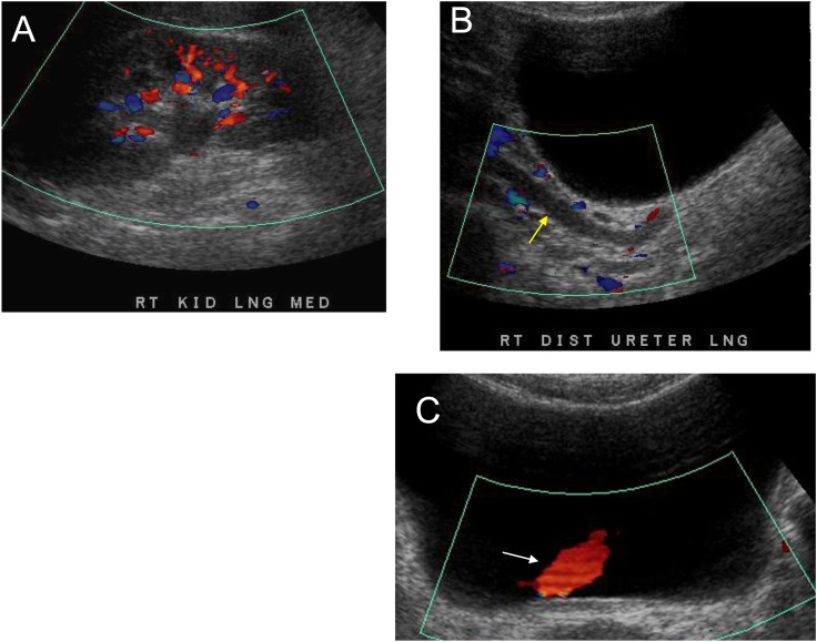 Figure 11.