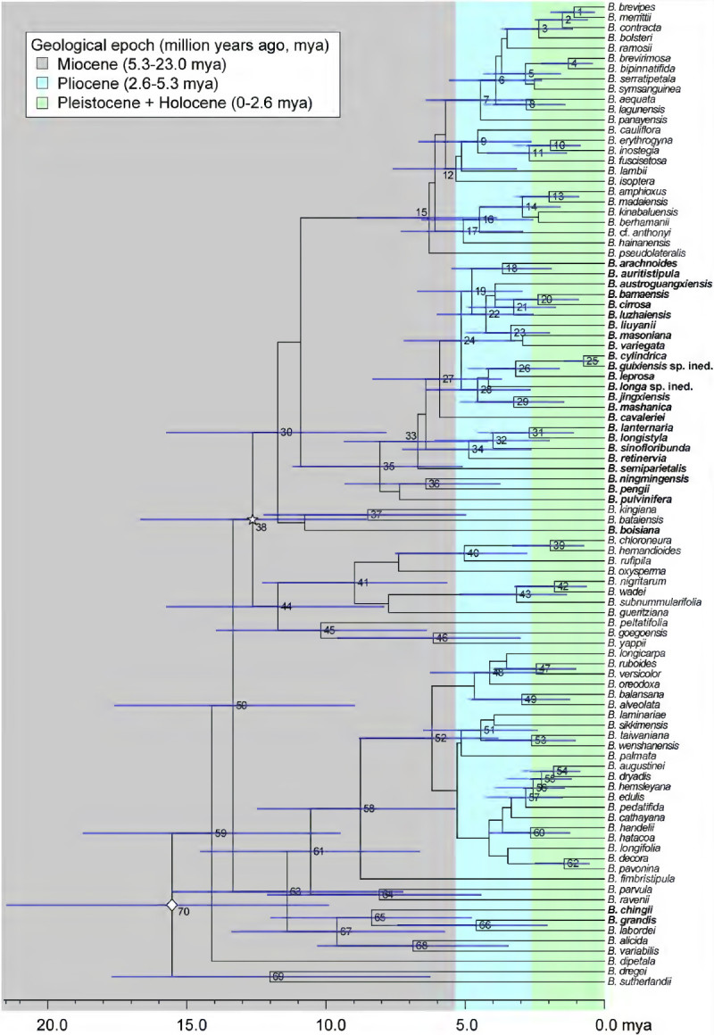 Figure 2