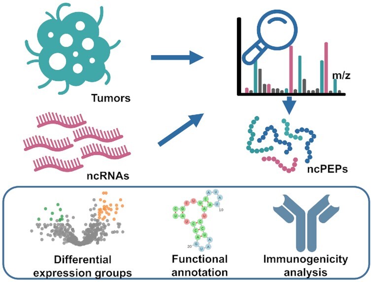 Graphical Abstract