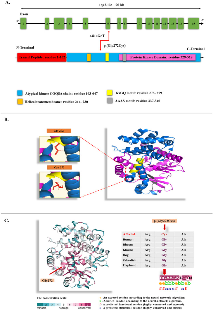 Fig. 3