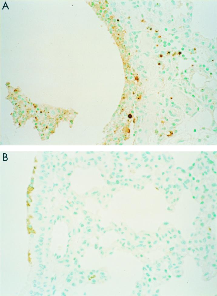 FIG. 6