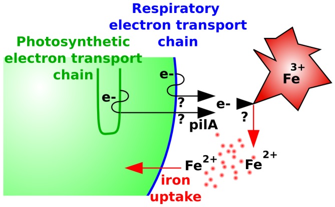 Figure 8