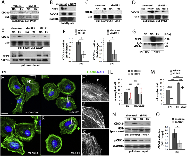 Figure 4