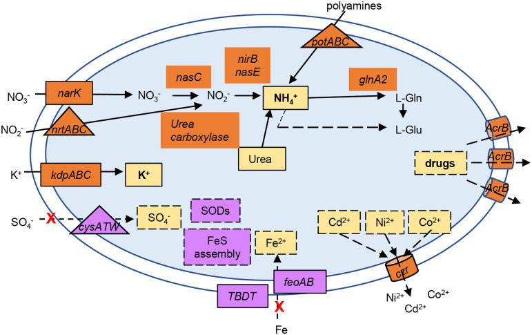 FIG 8