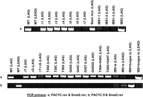 FIGURE 4.